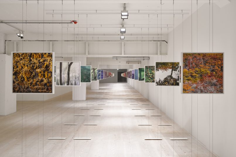 John Pawson - Spectrum / A Shade of Pale